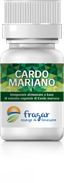 cardo